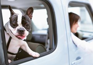 自動車の鈑金修理ならモドーリー